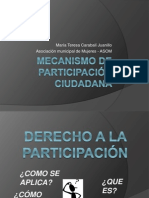 Taller Mecanismo de Participación Ciudadana