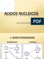 Acidos Nucleicos