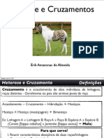 Cruzamentoeheterose 110808092621 Phpapp01 PDF