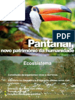 Apresentação - Pantanal -