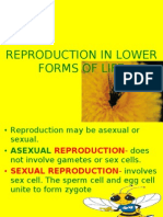 Reproduction in Lower Forms of Life