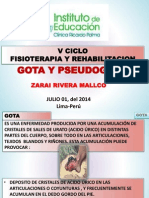 Fisioterapia en gota y pseudogotas