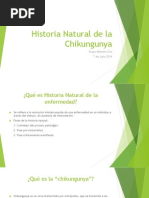 Download Historia Natural de La Chikungunya by Isis Buezo SN234317757 doc pdf