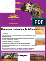 Resumen Del Video de Los Recursos Naturales de Africa