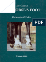 Color Atlas of The Horses Foot Complete