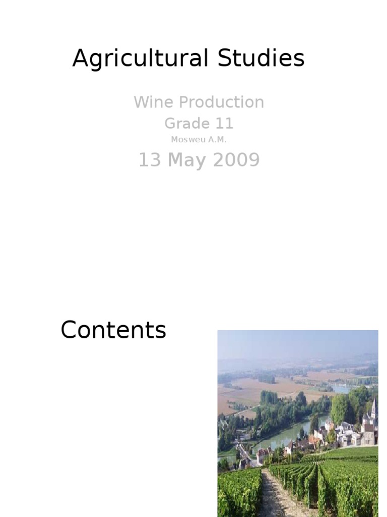 Assignment 4 (WineMaking) PDF Winemaking Grape