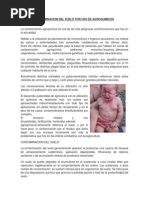 Contaminacion Del Suelo Por Uso de Agroquimicos