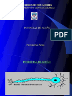 4-Potencial Acção