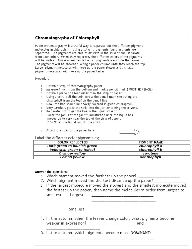 Extraction of chlorophyll from spinach leaves lab report image