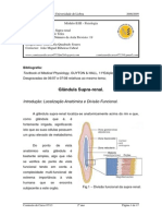 Desgravada Fisiologia 19a Aula