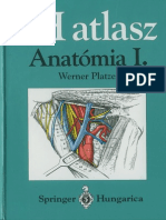 anatómia atlasz orvosi latin