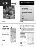 Estabilidade e Instabilidade Do Ar