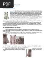 One Piece Color Walk 2 Pdf