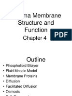Cell Membrane 100 Online