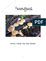 Fungus: From: Mark Van Den Bosch