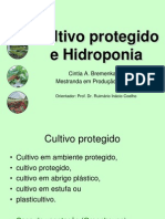 5Hidroponia