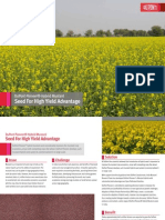 Seed For High Yield Advantage: Dupont Pioneer® Hybrid Mustard