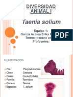 Taenia Solium Parásito Intestinal  Caracteres