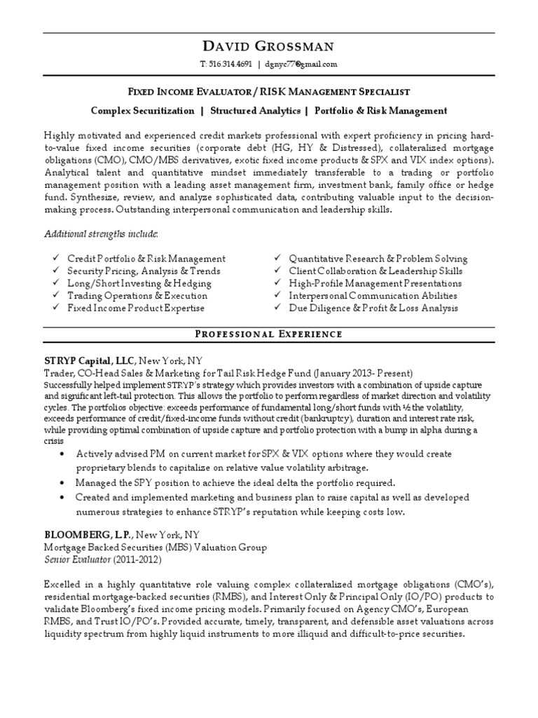 Capital Markets Senior Vice President in New York City Resume David