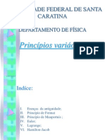 seminario principios variacionais