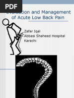 Download Acute Low Back Pain_zafa_iqbal_drppt by api-19502000 SN23443048 doc pdf