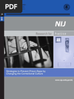 Download stratagies to prevent prison rape by Lee Gaylord SN23443656 doc pdf