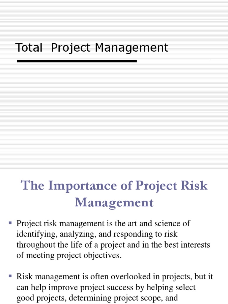 Techniques for Analyzing Project Risks | PDF