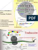 Bioq clase proteínas 2006