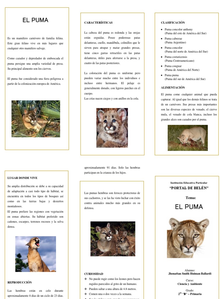 colateral alabanza Desnudo El Puma | PDF | Puma | Naturaleza