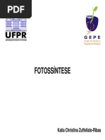 3 FOTOSSINTESE