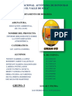 Informe Completo Ambiental