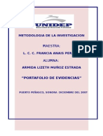 Portafolio de Metodologia