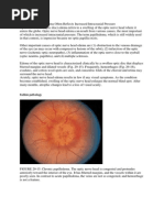 The Optic Nerve