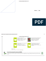Cifor PDF