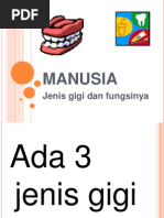 Manusia (Gigi Manusia)