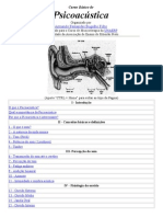 Curso Básico de PSICOACUSTICA