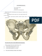 M Rezky Emerald (Anatomi Pelvis DLL)