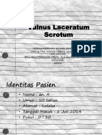 V. Laceratum Scrotum - An. Arthur