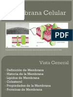 003membrana Celular