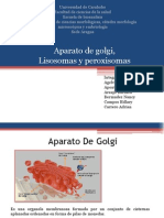 Seminario 1 Aparato de Golgi, Lisosomas y Peroxisomas