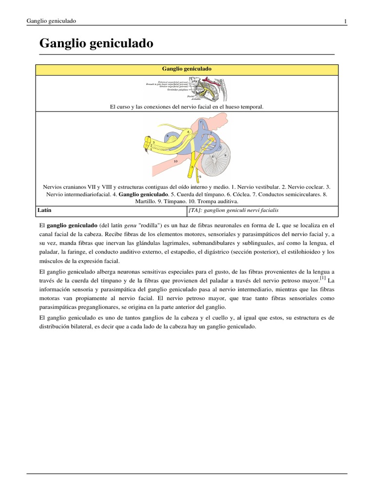 Ganglio Geniculado PDF Anatomia animal Cabeza y cuello humanos