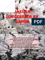 Sakura Los Cerezos en Japon 22033