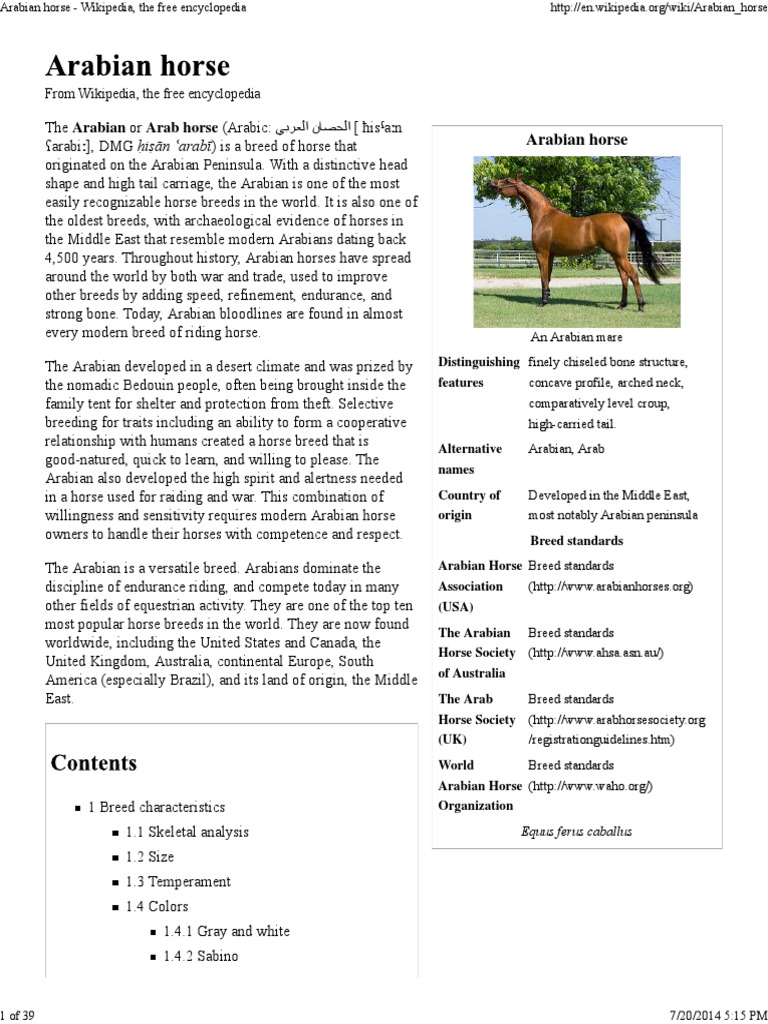 Arabian Horse Wikipedia, The Free Encyclopedia PDF Horses Horse