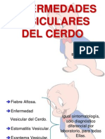 Enfermedades vesiculares del cerdo: fiebre aftosa, EVCP y más