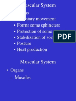 Functions - Voluntary Movement - Forms Some Sphincters - Protection of Some Organs - Stabilization of Some Joints - Posture - Heat Production