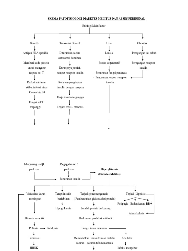 Skema Patofisiologi Diabetes Melitus Dan Abses Perirenal