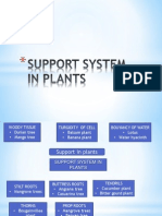 Support System in Plants