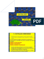 Cataliza - Curs 2