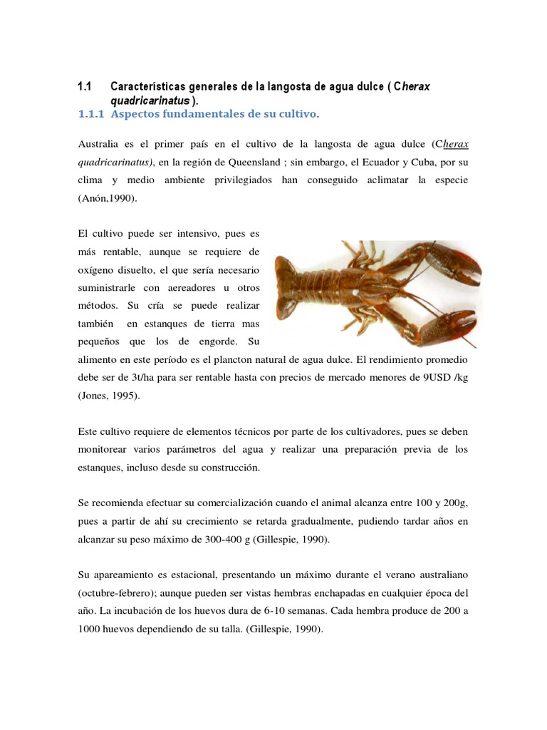 Cuanto Tarda En Crecer Una Langosta