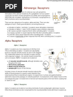 Physiology of Adrenergic Receptors